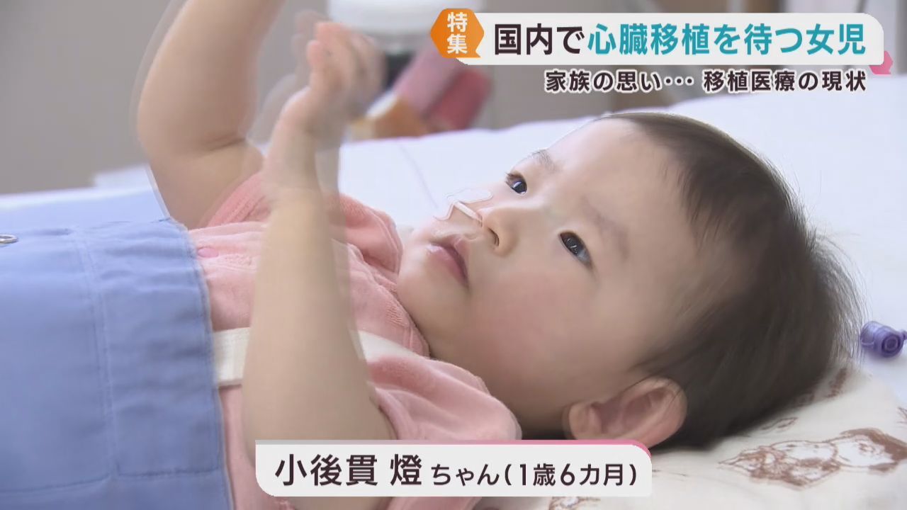 心臓移植を待つ1歳6カ月の女の子と家族 移植医療の現状