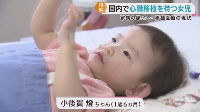 心臓移植を待つ1歳6カ月の女の子と家族 移植医療の現状