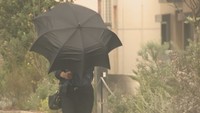 午前11時現在、岡山に大型で強い台風11号が最接近 交通機関に影響