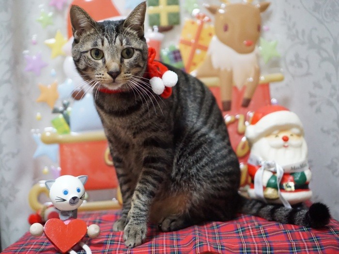 2018年、1歳。この時に5.8㎏ありました