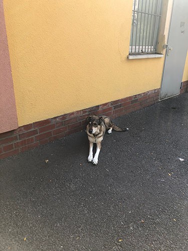昨年訪れたベルリンにて