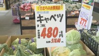 ハクサイ1玉780円! キャベツの値段は3倍に 野菜高騰続き…お好み焼き店は値上げ「だいぶ苦しい」 香川
