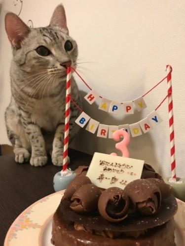 じゅいくんは家族中のアイドル (河野さん提供)