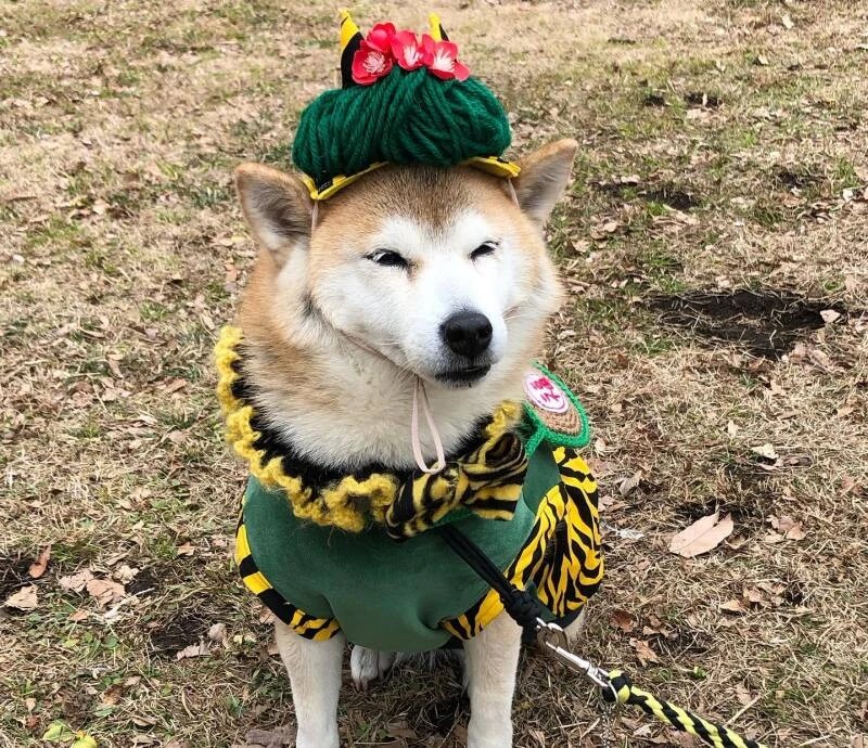しずく