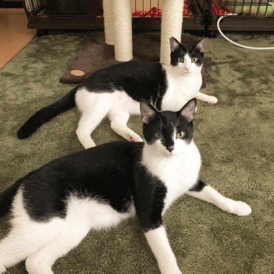 シンクロ中(M男さん提供)