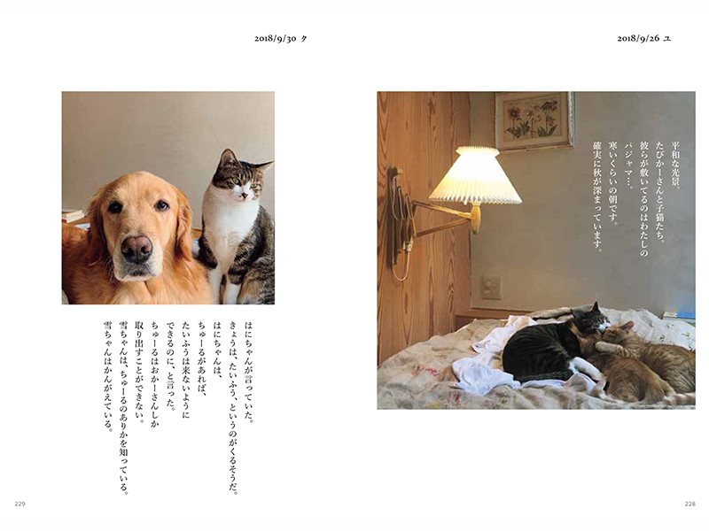 (画像提供元)『ハニオ日記Ⅱ 2018 -2019』