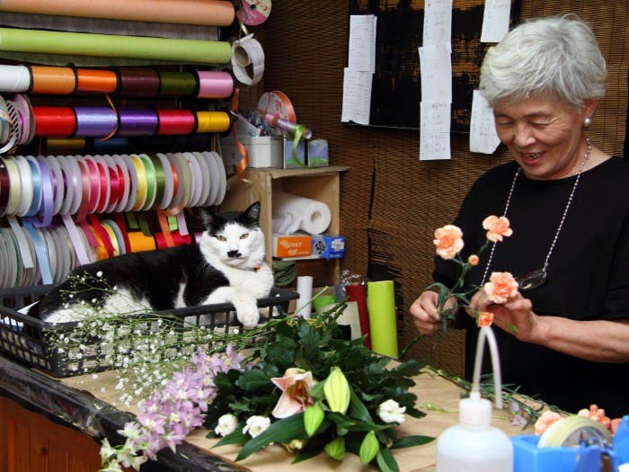 道代さんのフラワーアレンジを監督