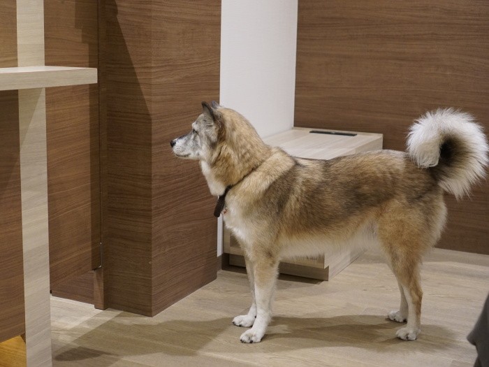 受付と待合室を行き来できるドアの前で「開けごま…あれ?」