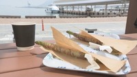 高松港に期間限定のカフェオープン! G7香川・高松都市大臣会合に向けてにぎわいづくりを