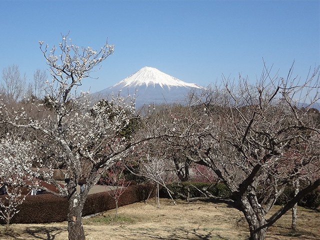190421 高岡法律事務所大3