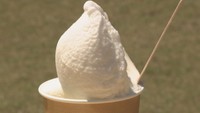 チーズ製造の副産物「ホエイ」を生かしたジェラート誕生! 岡山・真庭市