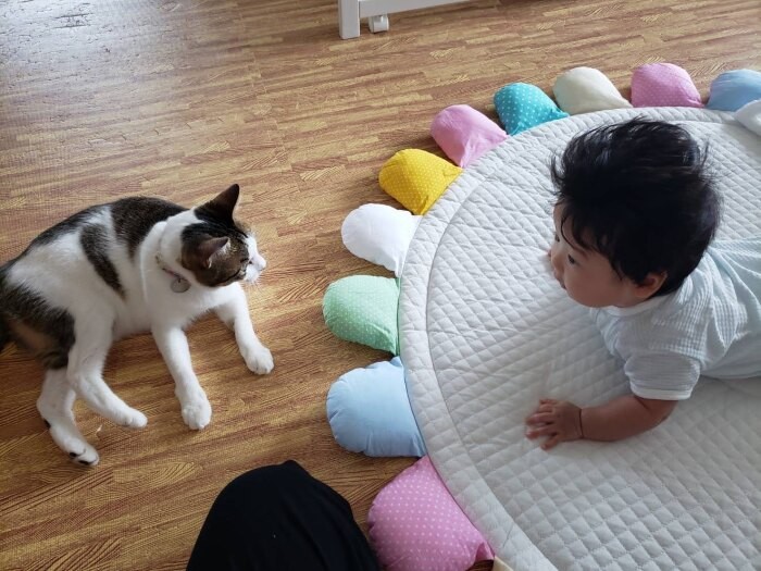 家族として、お互いを尊重しあってほしいとカナコさん(カナコさん提供)