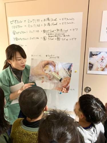 野良猫の子が産んだ子猫はたくさん保護されます。親のいない子猫たちをどうやって育てるのか、真剣に耳を傾ける子供たち