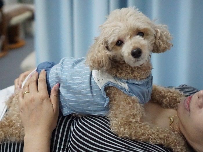 「どう?心もほぐれましたか?」