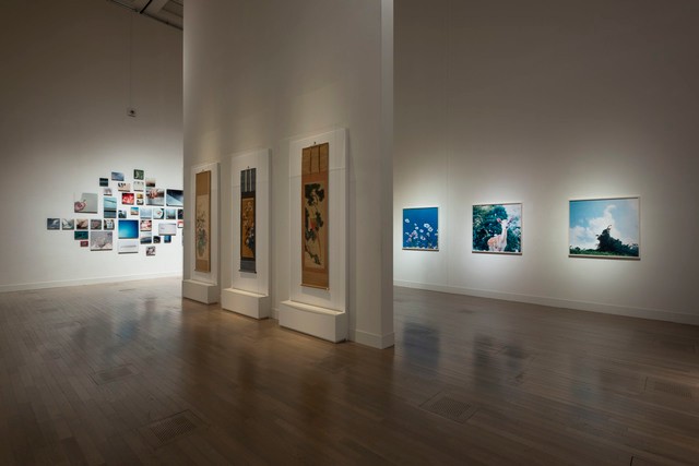 「花鳥画×川内倫子」展示風景