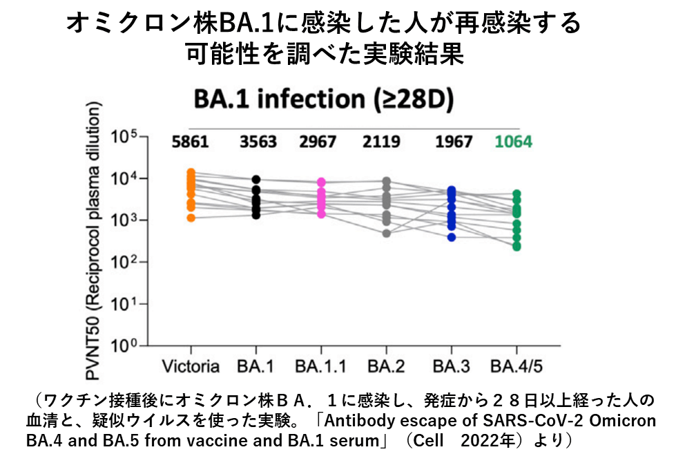 オミクロン株BA.1に感染した人が再感染する可能性