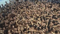 「すごい熱気!」宝木を巡る裸の男たちの熱き戦い 西大寺会陽に約1万人参加 岡山市