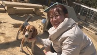 癒やし溢れる空間でわんちゃんとお散歩体験 期間限定でおやつをあげることも 岡山・玉野市