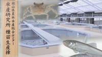 放流用の稚魚などを育てる「種苗生産棟」が完成 海・川への安定放流目指す 岡山・瀬戸内市