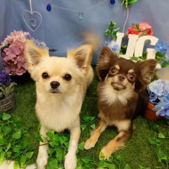 1歳を迎えたとき。大好きな玲生那おねえちゃんとハイチーズ!(UG提供)