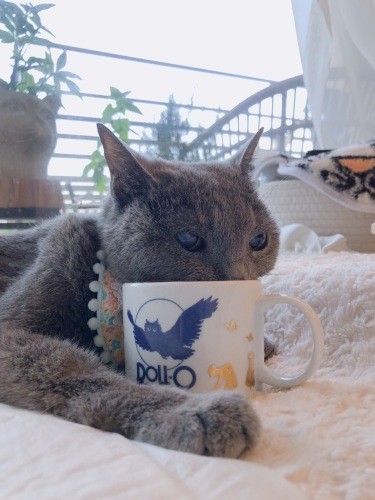 「おかぁ、おみずー」。運んでもらったお水をごくごく(まみさん提供)