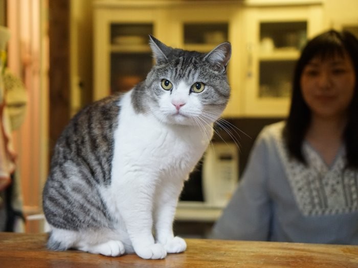 「そしてやっぱりここが好き」キマッてるね!