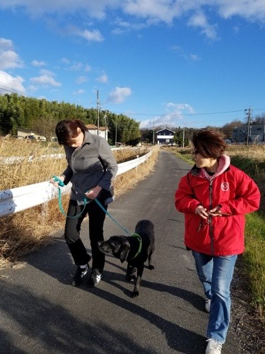 ハチとトレーニング中の向野さんと水上さん。犬のサインを見逃さないことが大事と、ハンドラーになる向野さんへ指導