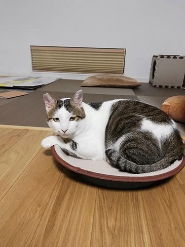 ピカピカになったでか丸