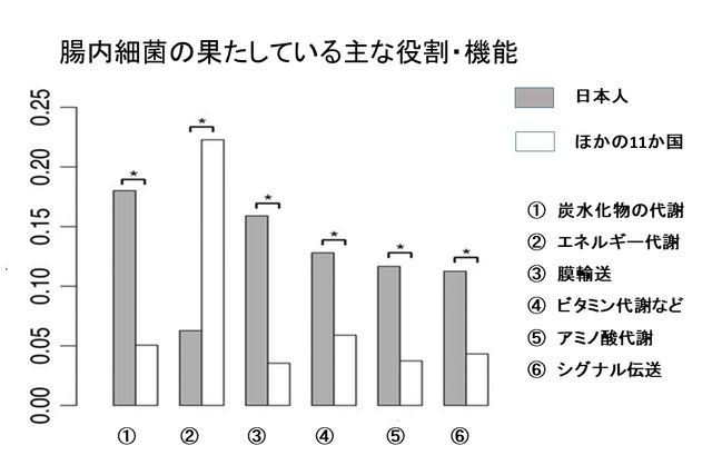 腸内細菌の役割・機能