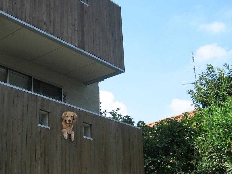 道行く人に「こんにちは~」と挨拶?(efrinmanさん提供)