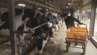 【解説】コメ価格高騰の陰で「飼料用米」は減産の見込み 畜産農家への影響は 岡山