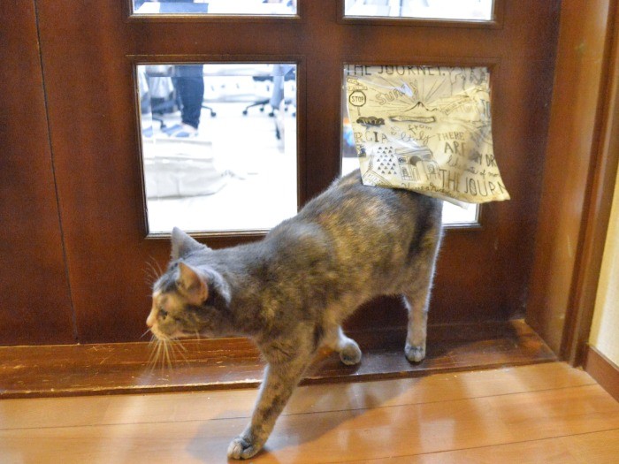 「ここから抜けられるのよ」とさくらちゃん