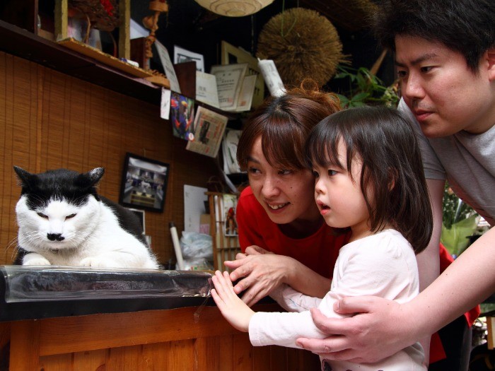 「お子ちゃまは得意じゃないけど……可愛い女の子だにゃ」