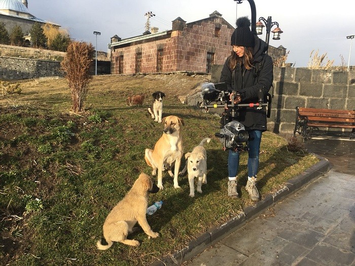 撮影予定を立てず、野良犬のありのままの姿を撮影した © 2020 THIS WAS ARGOS, LLC