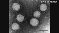 〈新型コロナ〉岡山県が県内3例目の“変異型ウイルス”の感染を発表