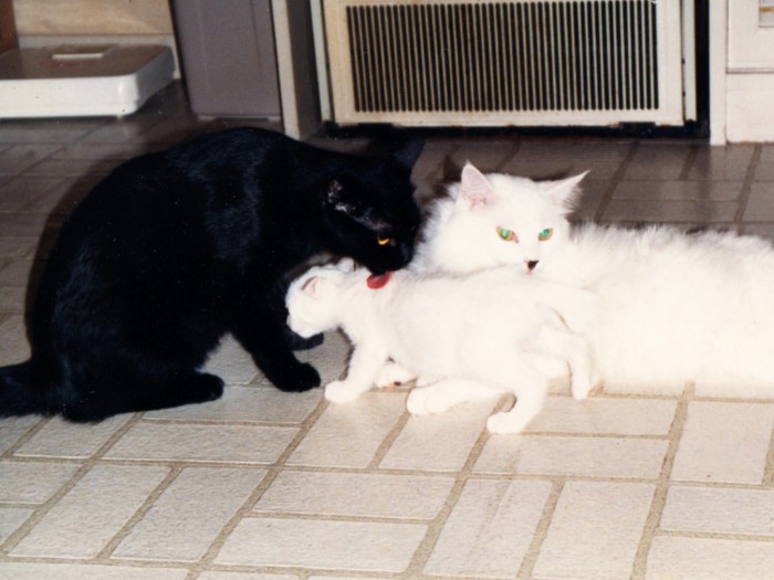 優しいお姉ちゃんとお兄ちゃんがそばにいるからね