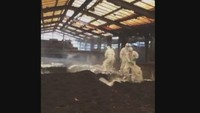 岡山県が鳥インフル封じ込めへ 井原市の養鶏場の鶏や卵の移動を制限