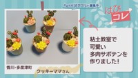 【はぴコレ】粘土で作った可愛い多肉サボテン・甘くておいしいスイカ 8月28日放送