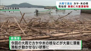 大雨により宮城・気仙沼漁港にカヤなどの漂着物 漁船が出港できず