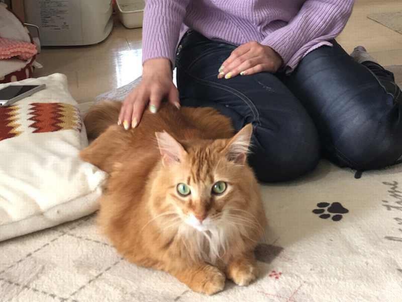幸せいっぱい!