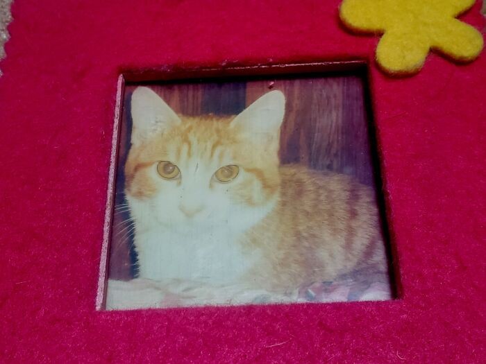 幼い頃のかんぺい