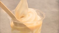 期間限定で蒜山高原のカフェのソフトクリームやコーヒーも楽しめる 岡山高島屋で真庭フェア