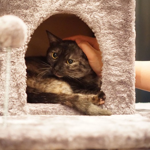 「ママの手、あったかい」