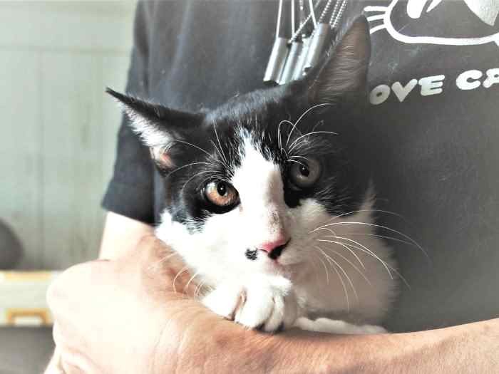 保護されて2か月のみらくる。まだビビりが抜けない