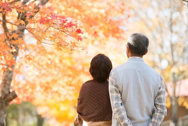 紅葉を眺めるシニア夫婦