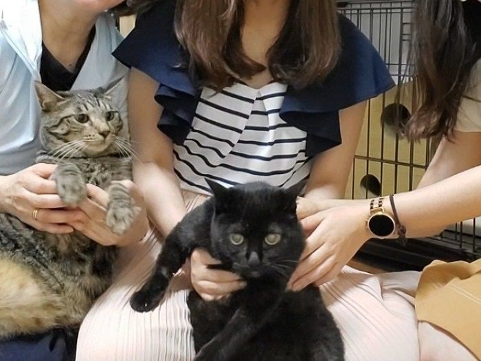 幻の猫返上?一緒に記念撮影