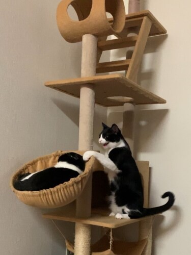 ねえねえ、遊ぼうよ