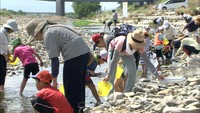 土器川に生息する生き物は?小学生が水質調査 香川・丸亀市