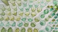 冷めるまで色は分からない…”理想の緑”を追い続けたガラス作家の「オリーブ硝子」 香川