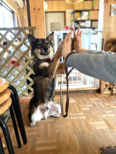 「お互い助け合っていこうぜ!」そんな掛け声が聞こえてきそうなハイタッチ。キドックスのシェルターでの風景